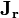 \mathbf{J_r}
